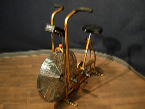 SCHWINN Air-Dyne